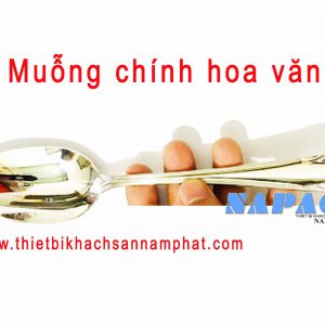 Muỗng chính hoa văn