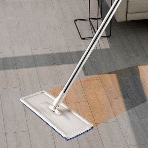 Cây lau - Cây gạt nước