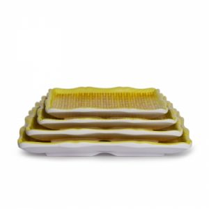 DĨA TRE DTR 46, DTR 47, DTR 48, DTR 49