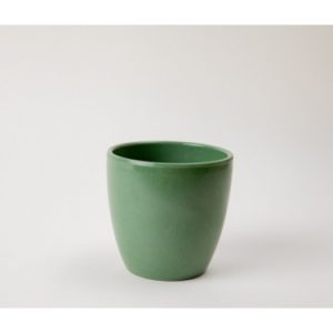 LY LY 32N NHÁM XANH LÁ