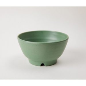 CHÉN CO 21N NHÁM XANH LÁ