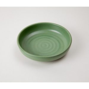 DĨA DGS 06N NHÁM XANH LÁ