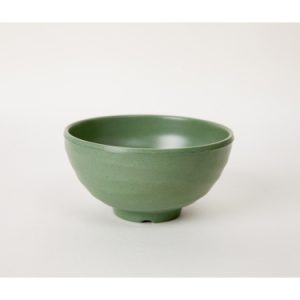 CHÉN CO 15N NHÁM XANH LÁ