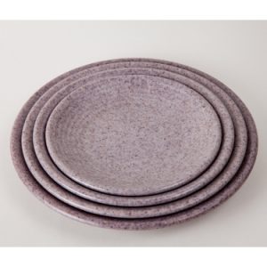 DĨA DG 26N, DG 27N, DG 28N, DG 29N, DG 30N NHÁM MÔN