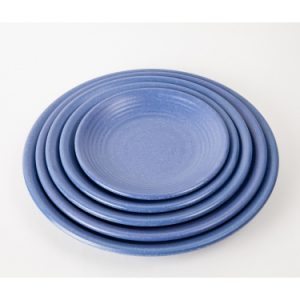 DĨA DG 26N, DG 27N, DG 28N, DG 29N, DG 30N NHÁM XANH DƯƠNG