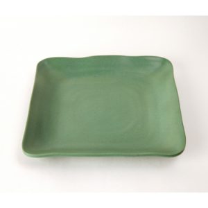 DĨA VUÔNG DV 118N NHÁM XANH LÁ