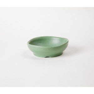 CHÉN CHẤM CC 60N NHÁM XANH LÁ