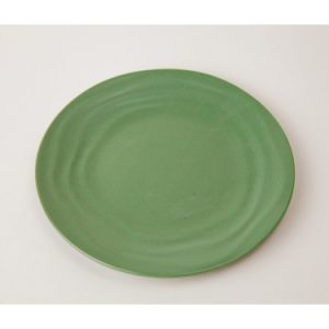 DĨA DCG 06N NHÁM XANH LÁ