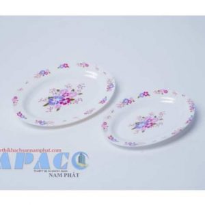 DĨA HỘT XOÀI HX 607, HX 117 VIỀN SWEETIE