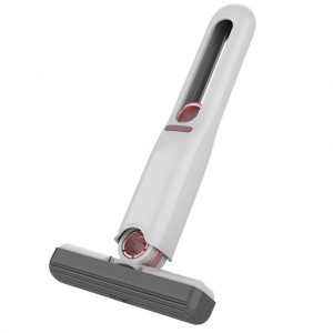 Cây lau mini tự vắt